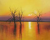Sunset trees & water by 2010